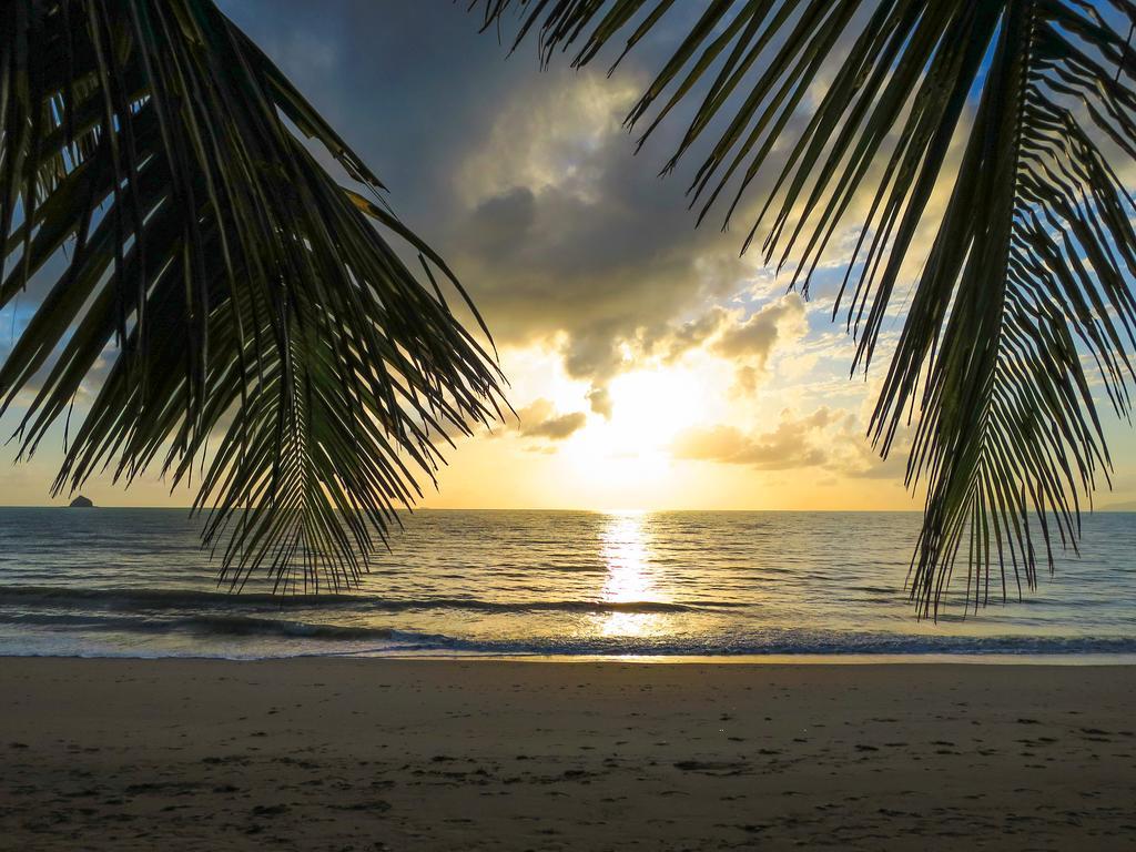 Marlin Waters Beachfront Apartments Palm Cove Cameră foto