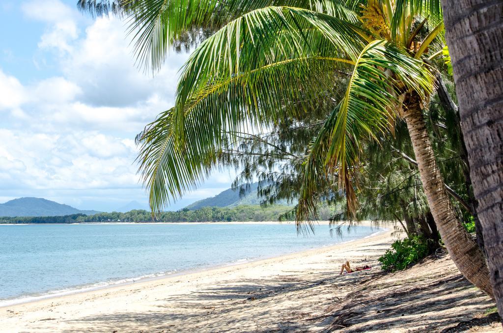 Marlin Waters Beachfront Apartments Palm Cove Cameră foto
