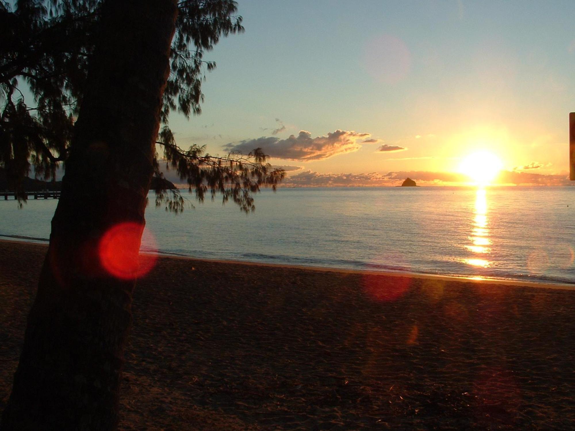 Marlin Waters Beachfront Apartments Palm Cove Exterior foto