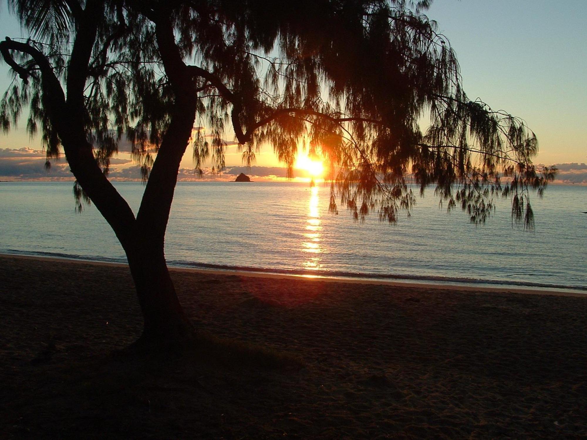 Marlin Waters Beachfront Apartments Palm Cove Exterior foto