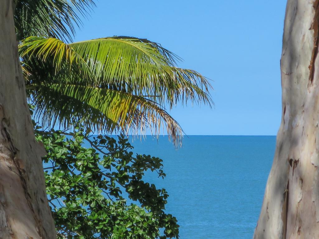 Marlin Waters Beachfront Apartments Palm Cove Exterior foto