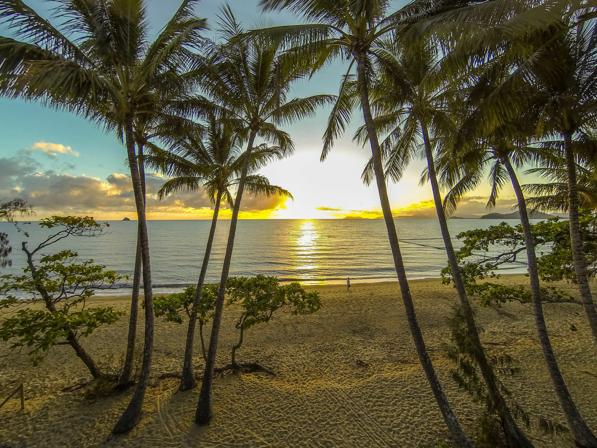 Marlin Waters Beachfront Apartments Palm Cove Exterior foto