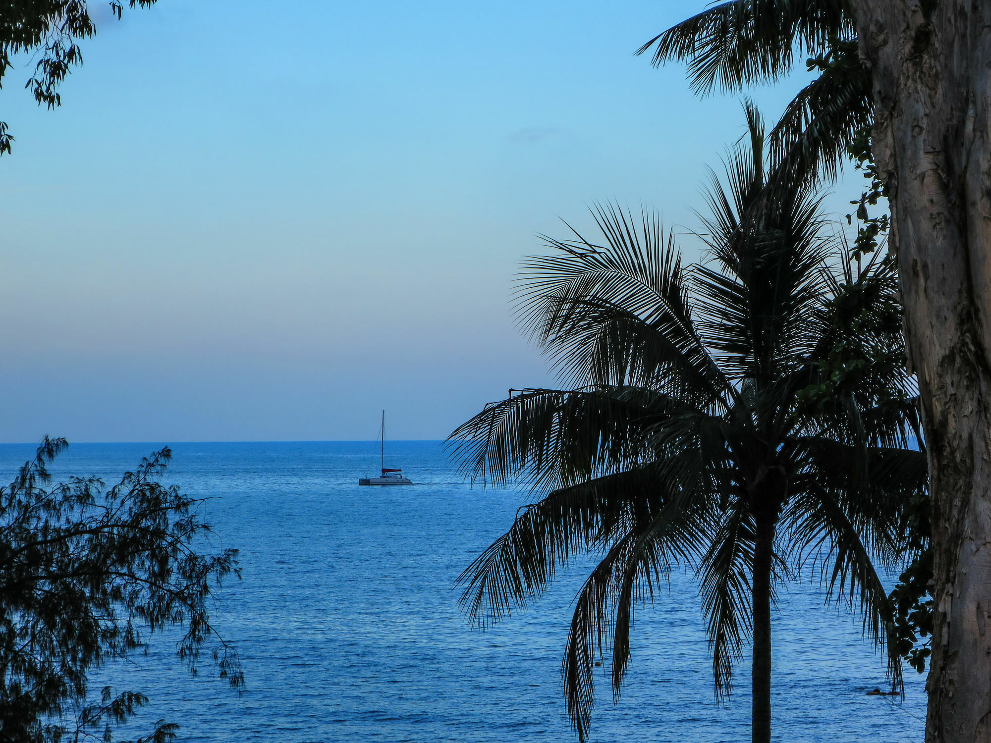 Marlin Waters Beachfront Apartments Palm Cove Exterior foto