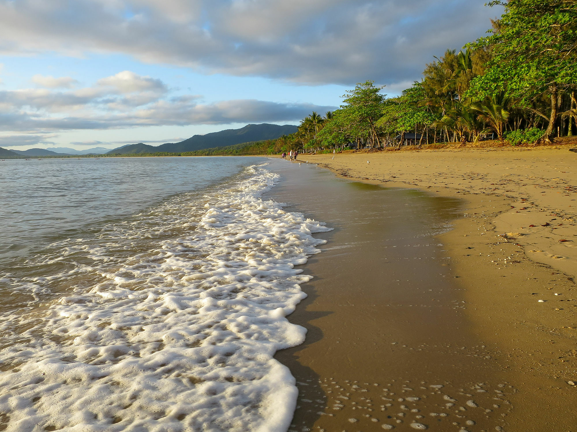 Marlin Waters Beachfront Apartments Palm Cove Exterior foto