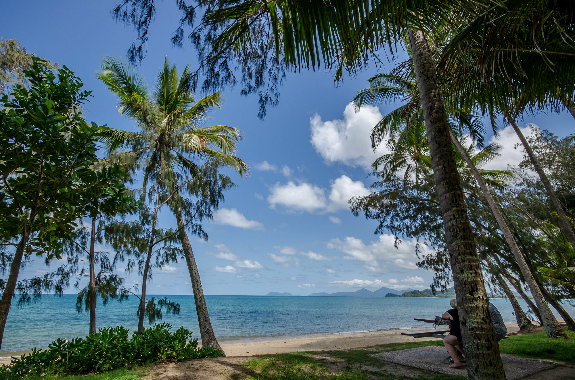 Marlin Waters Beachfront Apartments Palm Cove Exterior foto
