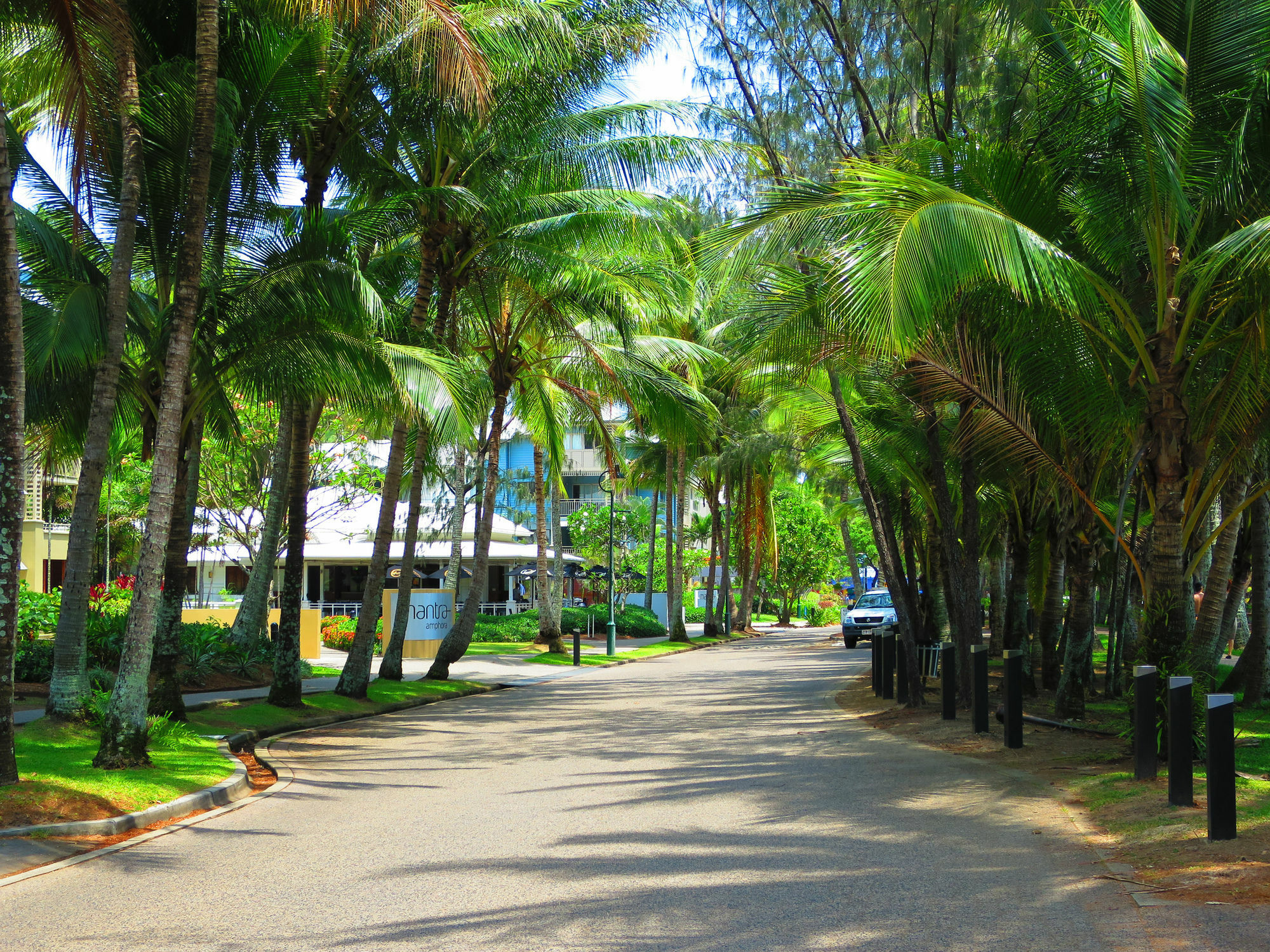 Marlin Waters Beachfront Apartments Palm Cove Exterior foto