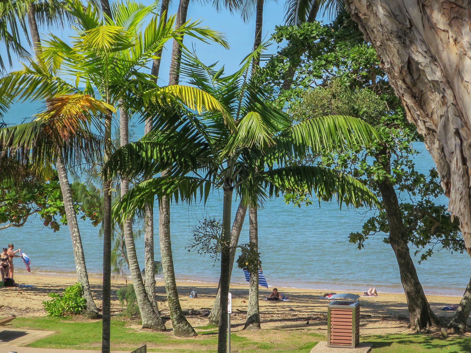 Marlin Waters Beachfront Apartments Palm Cove Exterior foto