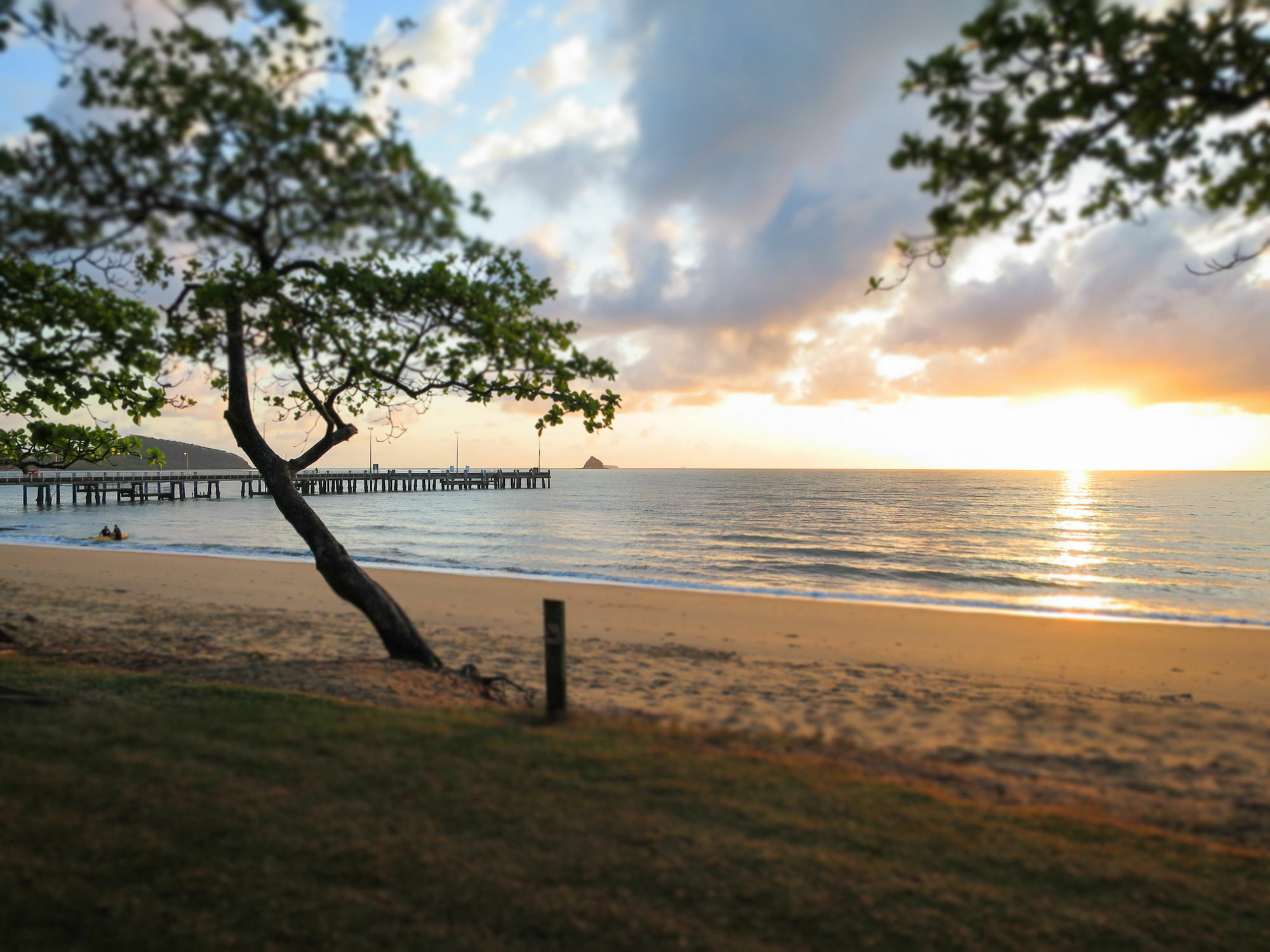 Marlin Waters Beachfront Apartments Palm Cove Exterior foto