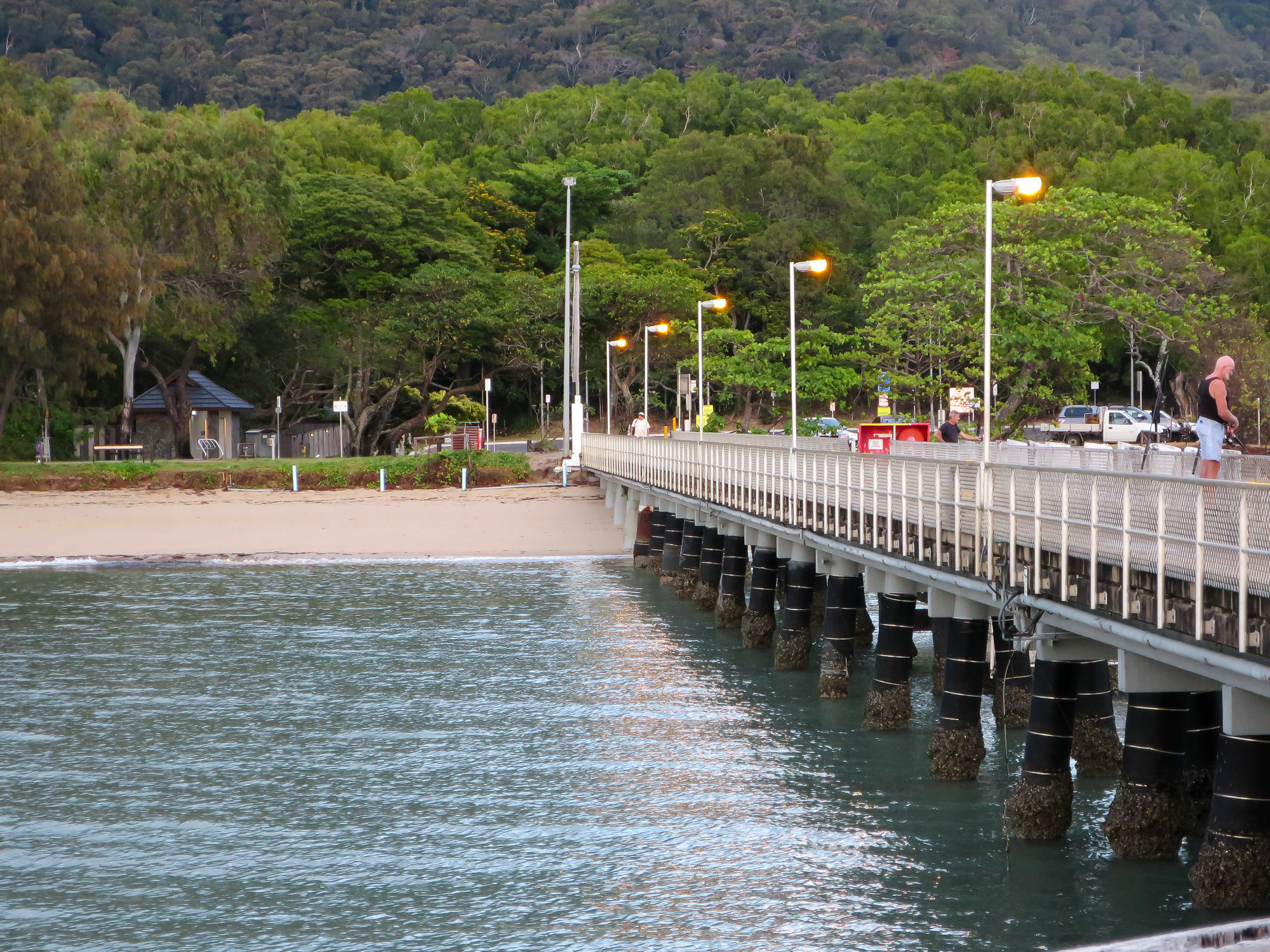 Marlin Waters Beachfront Apartments Palm Cove Exterior foto